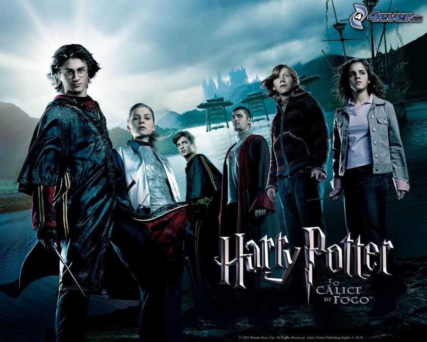 harry potter goblet of fire in hindi hd download